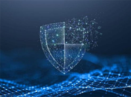 安全防护能力不足